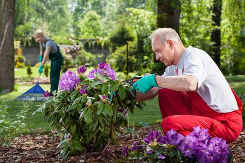 Gardener examining a garden bed and listening to client concerns