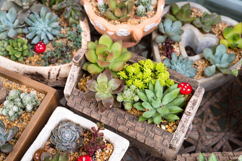 irrigation system garden